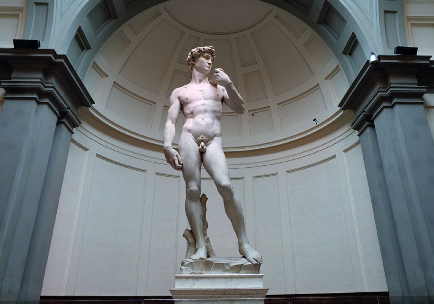 david di michelangelo