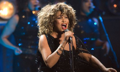 tina turner in concerto