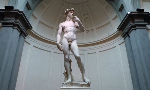 david di michelangelo